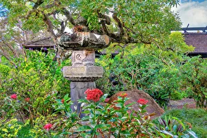 Lamp Prints: Florida, Delray Beach, Morikami Museum and Japanese Gardens