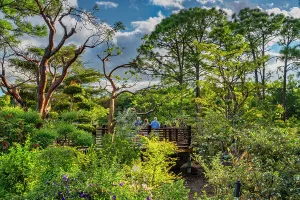 Florida, Delray Beach, Morikami Museum and Japanese Gardens