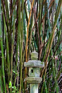Florida, Delray Beach, Morikami Museum and Japanese Gardens, Japanese lantern with bamboo trees