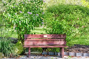 Florida, Delray Beach, Morikami Museum and Japanese Gardens, park bench