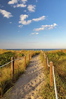 Atlantic Prints: Florida, Delray Beach, pathway leading to beach
