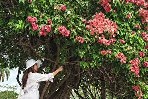Florida, Fort Myers, Edison and Ford Winter Estates, woman by flowering tree