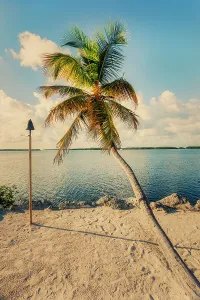 Solace Prints: Florida, Islamorada