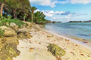 Jupiter Prints: Florida, Jupiter, beach