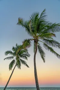 Blue Hour Prints: Florida, Key West