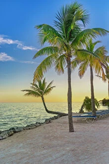 Images Dated 5th December 2023: Florida, The Keys, Islamorada, beach at Cheeca Lodge & Spa