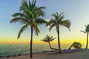 Images Dated 5th December 2023: Florida, The Keys, Islamorada, beach at Cheeca Lodge & Spa