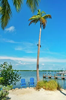Images Dated 14th December 2018: Florida, The Keys, Islamorada, marina