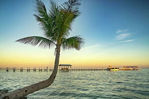 Images Dated 5th December 2023: Florida, The Keys, Islamorada, pier and beach at Cheeca Lodge & Spa