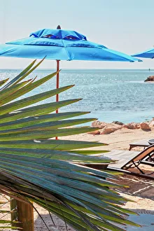 Sbs Florida 02 Prints: Florida, The Keys, Key Largo, beachfront lounge chair