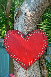 Images Dated 14th December 2018: Florida, The Keys, Key Largo, heart on tree