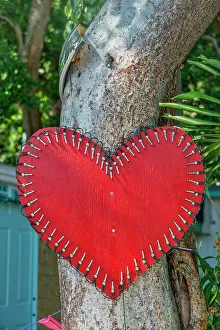 Sbs Florida 02 Prints: Florida, The Keys, Key Largo, heart on tree