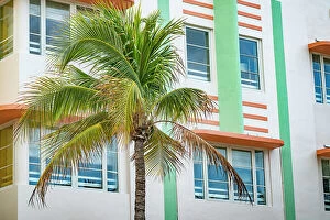 Images Dated 21st February 2019: Florida, Miami Beach, South Beach, McAlpin Hotel with palm tree on Ocean Drive