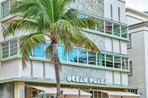 Florida, Miami Beach, South Beach, Ocean Plaza Hotel with palm tree on Ocean Drive