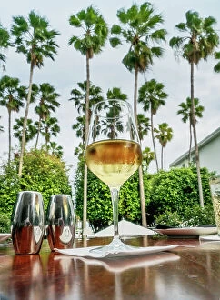 Images Dated 21st February 2019: Florida, Miami Beach, South Beach, white wine at the Delano Hotel