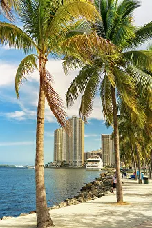 Florida, Miami, Downtown Miami, Bayfront Park overlooking Biscayne Bay, near Bayside Marketplace