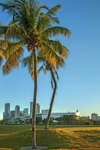 Vertical Prints: Florida, Miami, Museum Park with American Airlines Museum in background