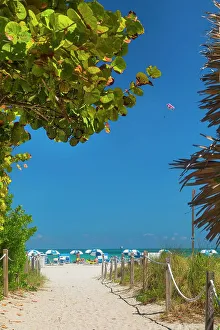 Blue Prints: Florida, Miami, South Beach, scene at South Miami Beach