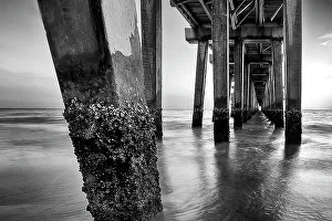 Majestic Prints: Florida, Naples, famous pier