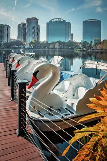 Lake Eola Prints: Florida, Orlando, Lake Eola and downtown views with swan paddleboats