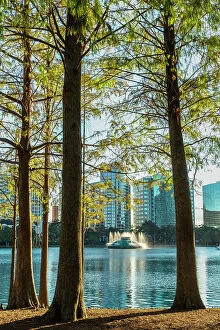 Images Dated 4th December 2023: Florida, Orlando, Lake Eola and fountain seen through trees