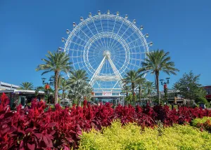 Orlando Prints: Florida, Orlando, Orlando Eye is a 400 ft tall giant Ferris wheel, Coca-Cola sign