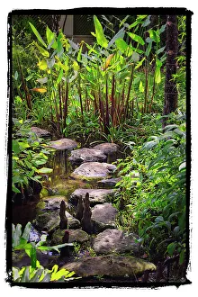 Path Prints: Florida, Palm Beach, Pan's Garden with pathway made of rock