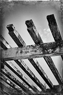 Botanic Prints: Florida, Palm Beach, The Society of the Four Arts Botanical Gardens, detail of pergola