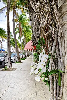 Florida, Palm Beach, Worth Avenue