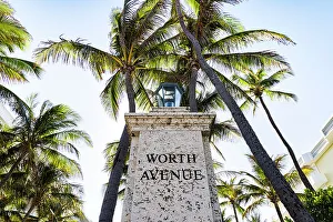 Lamp Prints: Florida, Palm Beach, Worth Avenue with palm trees