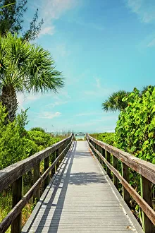 Vertical Prints: Florida, Sanibel Island, walkway toward the beach