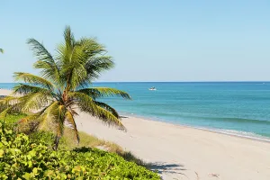 Atlantic Prints: Florida, South Florida, Boca Raton beach