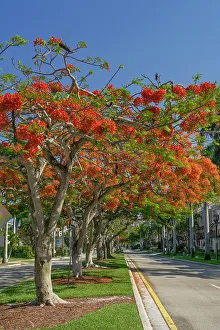 Florida, South Florida, Boca Raton, Mizner Park