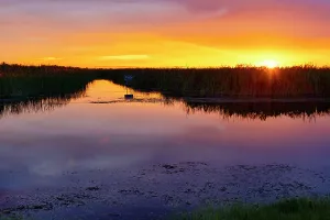 Florida, South Florida, Boynton Beach, Arthur R. Marshall Loxahatchee National Wildlife Refuge