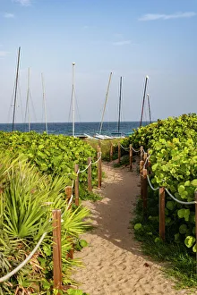 Entryway Prints: Florida, South Florida, Delray Beach, pathway leading to ocean