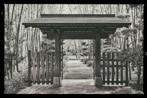 Florida, South Florida, Delray Beach, Morikami Museum and Japanese Gardens