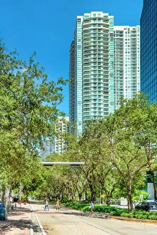Cloudless Prints: Florida, South Florida, Downtown Miami, Brickell Avenue