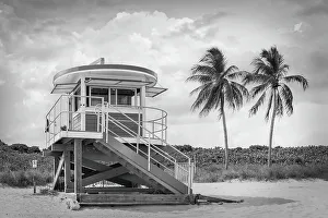 Florida, South Florida, Hollywood Beach, lifeguard house with palm trees