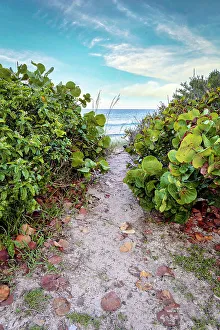 Florida, South Florida, Lantana, pathway leading toward beach