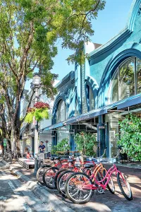 Bicycling Prints: Florida, South Florida, Miami, Coconut Grove
