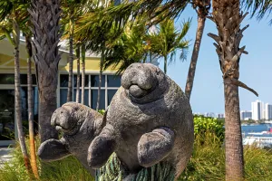 Statue Prints: Florida, West Palm Beach, Manatee lagoon, statue of Manatees
