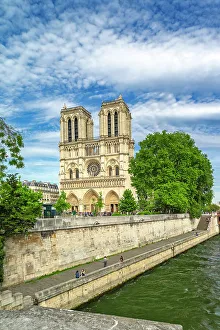 Tree Prints: France, Paris, Notre Dame Cathedral