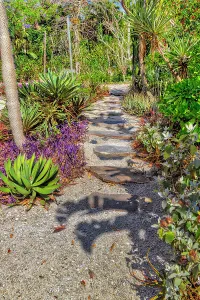Walk Way Prints: Garden pathway