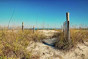 Georgia Prints: Georgia, Tybee Island, beach scene with wooden fence on sand dunes