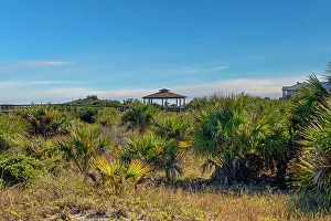 Georgia Prints: Georgia, Tybee Island, North Beach