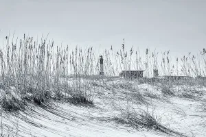 Georgia, Tybee Island, Tybee Island, Lighthouse seen through tall sea oats
