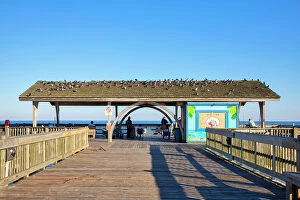 Images Dated 17th March 2023: Georgia, Tybee Island, Tybee pier