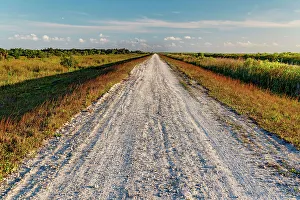 National Park Prints: Gravel road