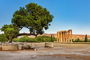 Tree Prints: Greece, Athens, Temple of Zeus