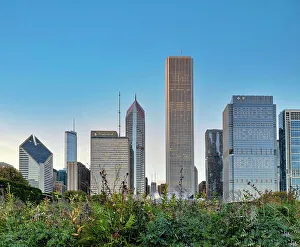 Chicago Prints: Illinois, Chicago, Skyline View from Grant Park